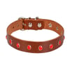 Doggie Taşlı Kahverengi Deri Boyun Tasması BKT 15 8680782122026 Amazon Pet Center