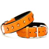 Doggie Yıldız Metal Süslü Köpek Deri Boyun Tasması Karamel SBT-3060 M 8680782104312 Doggie Köpek Boyun Tasmaları Amazon Pet Center