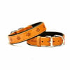 Doggie Yumuşak Dokulu Pati Desenli Köpek Boyun Tasması Camel SBT-4036 L