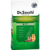 Dr. Sacchi Kedi Maması Düşük Tahıllı Kuzu Etli 1 Kg 8690286595042 Amazon Pet Center
