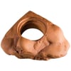 Exo Terra Sürüngen Mama Kabı 702-Pt2835 015561228350 Exo Terra Sürüngen Aksesuarı Amazon Pet Center
