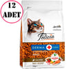 Felicia Kedi Maması Kolajenli Az Tahıllı Somonlu 1 Kg 12 Ad 32116571 Amazon Pet Center