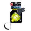 Gigwi Dinoball Diş Kaşıma Oyuncağı 846295067317 Amazon Pet Center