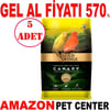 Gold Wings Premium Kanarya Yemi 1 Kg 5 AD Gel Al 35006183 Amazon Pet Center