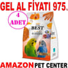 Gold Wings The Best Muhabbet Kuşu Yemi 1,25 Kg 4 AD Gel Al 19561004 Amazon Pet Center