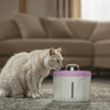 Joypet Yuvarlak Kedi Köpek Su Pınarı 3.5 Lt Pembe 35000549 Amazon Pet Center