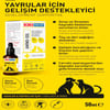 KIKI Excellent Kedi ve Köpek İçin Amino-Sol Şurup 50 ml 8683762340403 Amazon Pet Center
