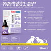 KIKI Excellent Kedi ve Köpek İçin Glukozamin Kondroitin Şurup 50 ml 8683762340342 Amazon Pet Center