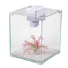 Leecom Xk250 18 Lt Akvaryum 25,5 x 25,5 x 31 cm 1676001415007 Amazon Pet Center