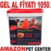 Nature Plan Ballı Nemli Kırmızı Kuş Maması 5 Kg Gel Al 35008460 Amazon Pet Center