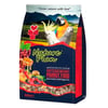 Nature Plan Meyveli Ve Ballı Papağan Yemi 800 Gr 8699004230104 Nature Plan Papağan Yemleri Amazon Pet Center