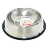 Nunbell Kedi Köpek Çelik Mama Su Kabı 26 cm 6092700010919 Amazon Pet Center