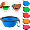 Oripet Katlanabilir Seyehat Silikon Köpek Mama Kabı 31oz 900ml 8641458624732 Amazon Pet Center