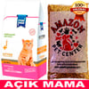 Paw Paw Kitten Tavuk Etli Yavru Kedi Maması Açık 1 Kg 32112924 Amazon Pet Center