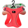 Pet Pretty Kedi Köpek Beden Tasması S Neon Pembe 8684674191077 Amazon Pet Center