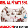 Pet Pretty Kedi Köpek Yatağı Yazlık Kumaş Koltuk Yatak İstanbul 60x50x15 Cm Gel Al 35011170 Amazon Pet Center