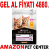 Pro Plan Junior Tavuklu Yavru Kedi Maması 10 Kg Gel Al 18148008 Amazon Pet Center