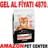 Pro Plan Somonlu Kedi Maması 10 Kg Gel Al 18150001 Amazon Pet Center