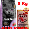 Prochoice Pro 38 Yavru Kedi Maması Açık 5 Kg 32117837 Amazon Pet Center