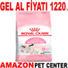 Royal Canin Baby Cat 2 Kg Yavru Kedi Maması Gel Al 18364002 Amazon Pet Center
