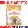 Royal Canin British Shorthair Kedi Maması 4 Kg Gel Al 18347005 Amazon Pet Center
