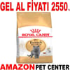 Royal Canin British Shorthair Kedi Maması 4 Kg Gel Al 18347005 Amazon Pet Center