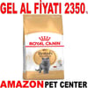 Royal Canin British Shorthair Kedi Maması 4 Kg Gel Al 18347005 Amazon Pet Center