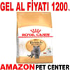 Royal Canin British Shorthair Kedi Maması 2 Kg Gel Al 18346008 Amazon Pet Center