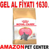 Royal Canin British Shorthair Kitten 2 Kg Gel Al 18344004 Amazon Pet Center