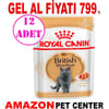 Royal Canin British Shorthair Yetişkin Kedi Konservesi 85 Gr 12 Ad Gel Al 18407006 Amazon Pet Center