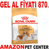 Royal Canin Cavalier King Charles Köpek Maması 1,5 Kg Gel Al 18320008 Amazon Pet Center