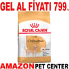 Royal Canin Chihuahua Yetişkin Köpek Maması 1.5 Kg Gel Al 18324006 Amazon Pet Center