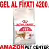 Royal Canin Fit 32 Kedi Maması 10 Kg Gel Al 18369007 Amazon Pet Center
