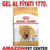 Royal Canin French Bulldog Adult Köpek Maması 3 Kg Gel Al 18328004 Amazon Pet Center