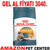 Royal Canin Hair & Skin Hassas Tüylü Kediler İçin Kedi Maması 4 Kg Gel Al 18358001 Amazon Pet Center