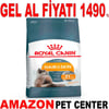Royal Canin Hair & Skin Kedi Maması 2 Kg Gel Al 18357004 Amazon Pet Center