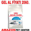 Royal Canin Indoor +7 Kedi Maması 3.5 Kg Gel Al 18374001 Amazon Pet Center
