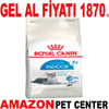 Royal Canin Indoor +7 Kedi Maması 3.5 Kg Gel Al 18374001 Amazon Pet Center