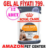 Royal Canin Intense Beauty Jelly Kedi Yaş Mama 85 Gr 12 AD Gel Al 18398007 Amazon Pet Center
