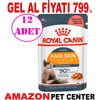 Royal Canin İntense Beauty Kedi Yaş Mama 85 Gr 12 Ad Gel Al 18403008 Amazon Pet Center