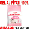 Royal Canin Kitten 2 Kg Gel Al 18376005 Amazon Pet Center