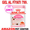 Royal Canin Kitten Gravy Yaş Kedi Maması 85 Gr 12 Ad Gel Al 18405002 Amazon Pet Center