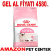 Royal Canin Kitten Yavru Kedi Maması 10 Kg Gel Al 18375008 Amazon Pet Center