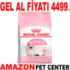Royal Canin Kitten Yavru Kedi Maması 10 Kg Gel Al 18375008 Amazon Pet Center