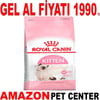 Royal Canin Kitten Yavru Kedi Maması 4 Kg Gel Al 18378009 Amazon Pet Center