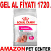 Royal Canin Köpek Maması Mini Exigent 3 Kg Gel Al 18341003 Amazon Pet Center