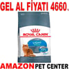 Royal Canin Light Kedi Maması 8 Kg Gel Al 18361001 Amazon Pet Center