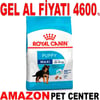 Royal Canin Maxi Puppy Büyük Irk Yavru Köpek Maması 15 Kg Gel Al 18667004 Amazon Pet Center