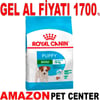 Royal Canin Mini Junior Yavru Köpek Maması 4 Kg Gel Al 19282008 Amazon Pet Center