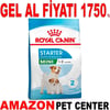 Royal Canin Mini Starter Yavru Köpek Maması 4 Kg Gel Al 18397000 Amazon Pet Center